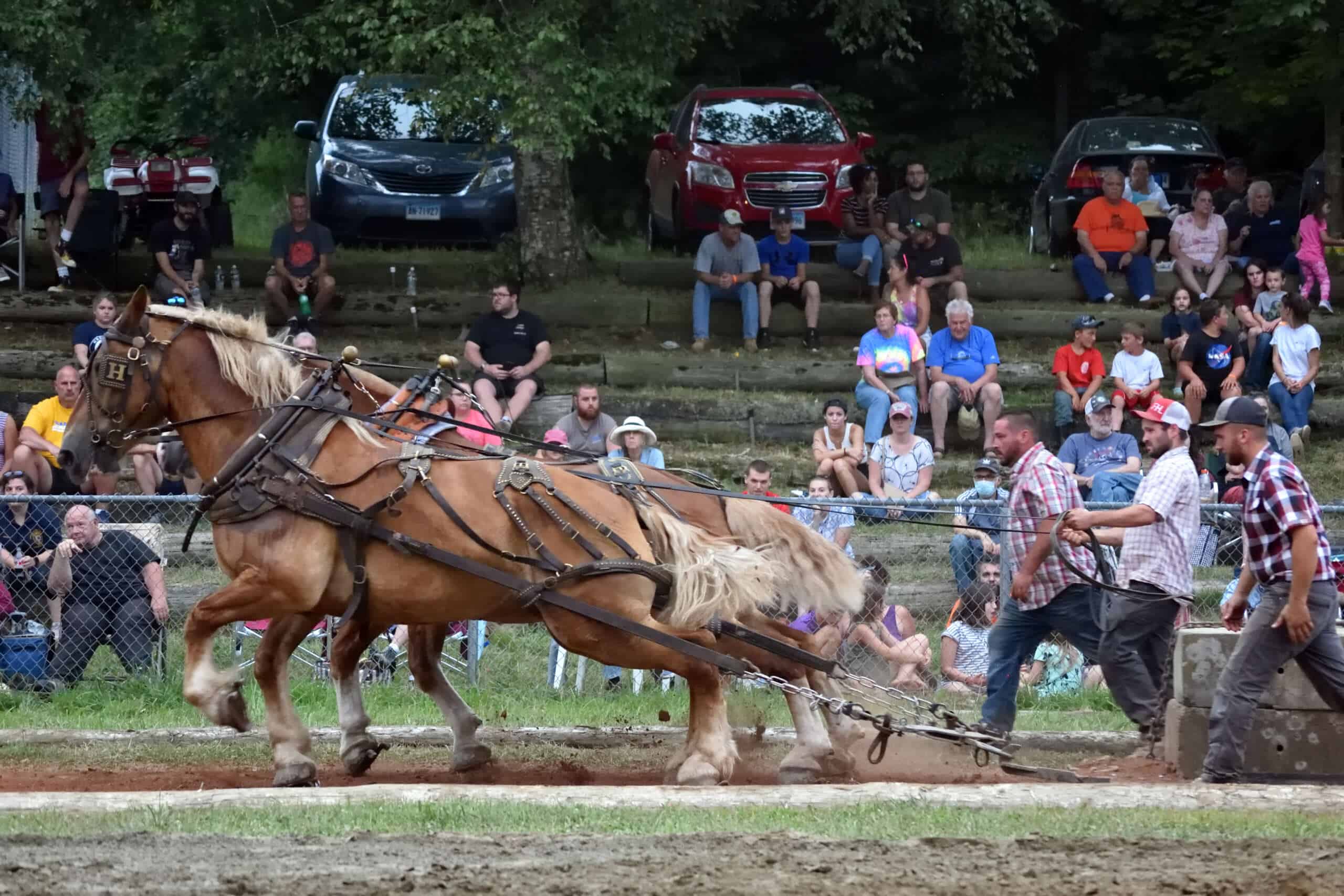 Lebanon Country Fair Lebanon Country Fair, Lebanon, CT