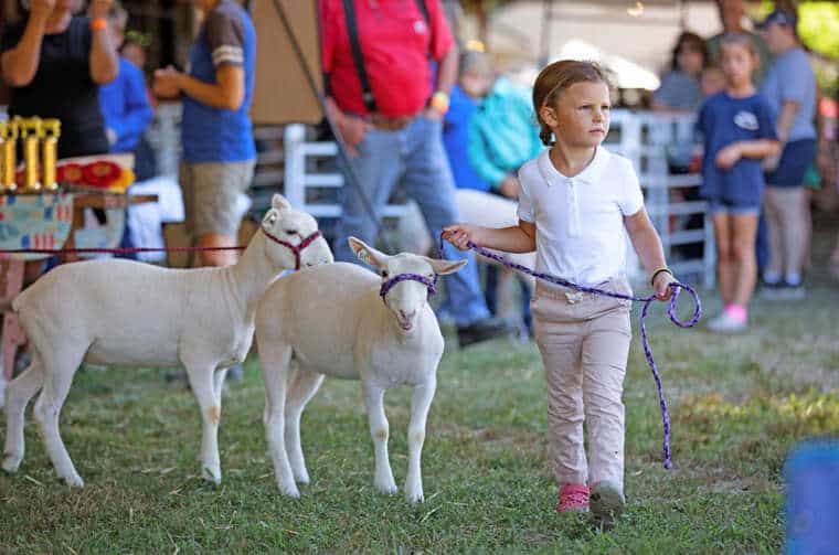 Lebanon Country Fair, Lebanon, CT July 2830, 2023