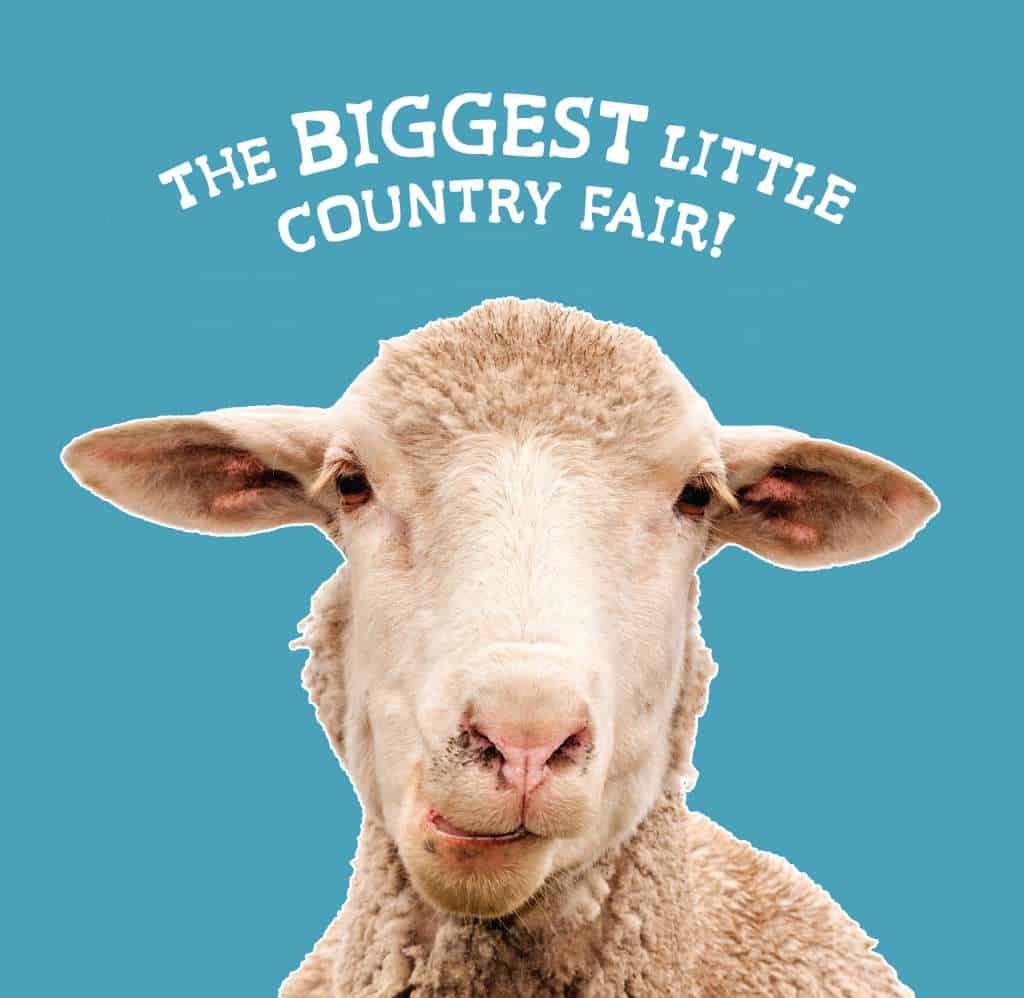 The Biggest Little Country Fair